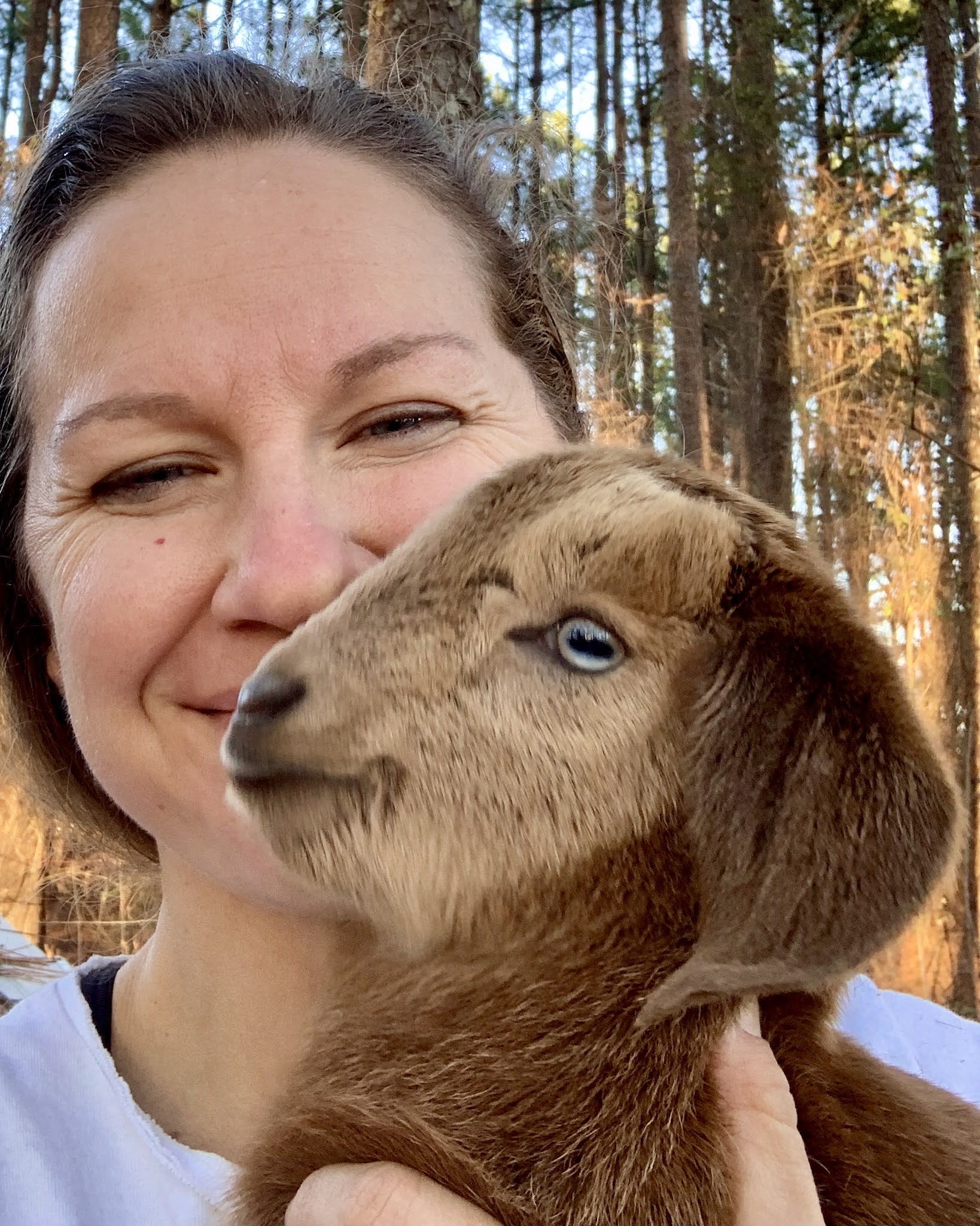 baby goats